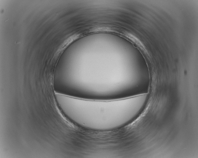 X0000067890849200604131012