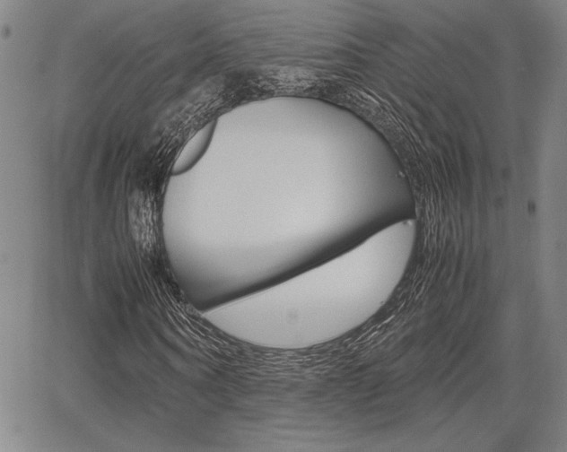 X0000067890866200604131011