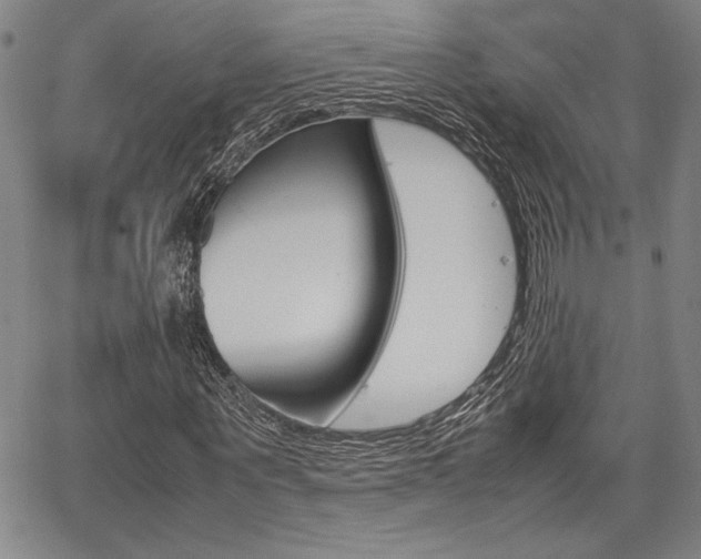 X0000067890867200604131011