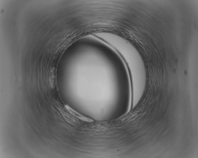 X0000067890868200604131011