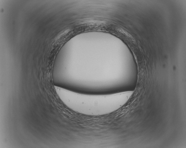 X0000067890869200604131011