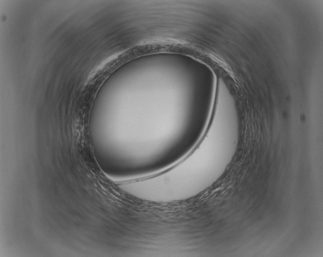 X0000067890872200604131011