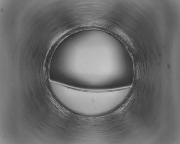 X0000067890876200604131011