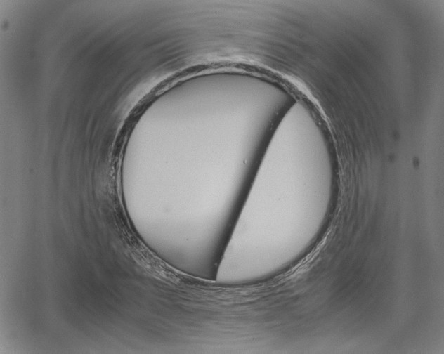 X0000067890879200604131011