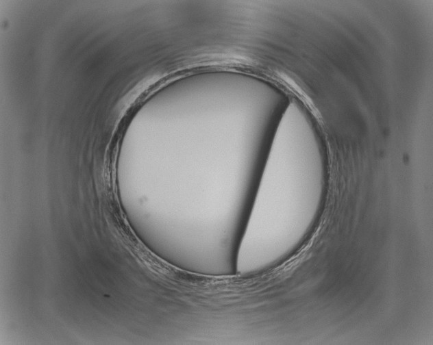 X0000067890883200604131011