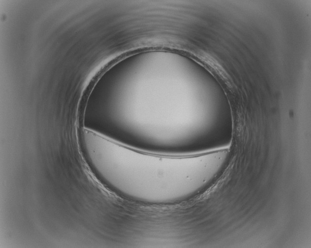 X0000067890888200604131011