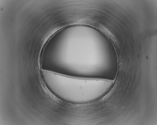 X0000067890892200604131011