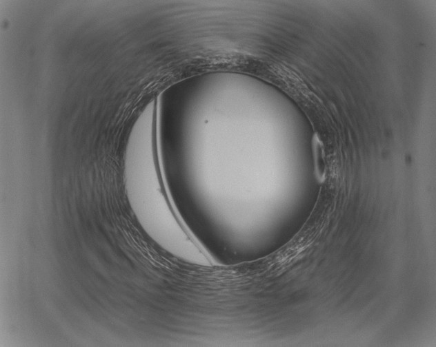 X0000067890916200604131009