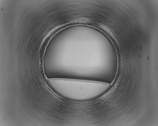 X0000067890923200604131010