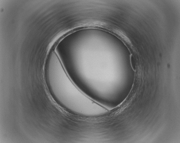 X0000067890936200604131010
