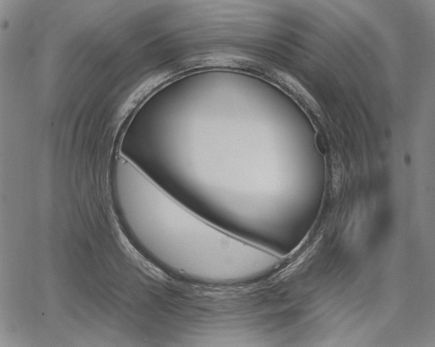 X0000067890938200604131010