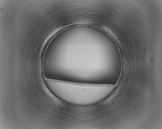 X0000067890939200604131010