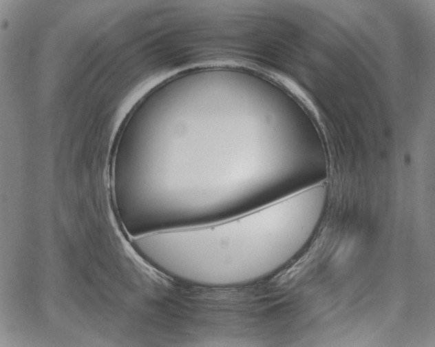 X0000067890951200604131010