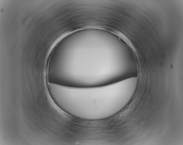X0000067890955200604131010