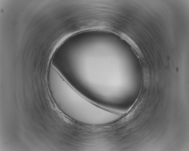 X0000067890956200604131010