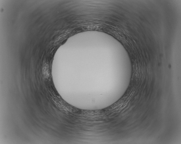X0000067890962200604131009