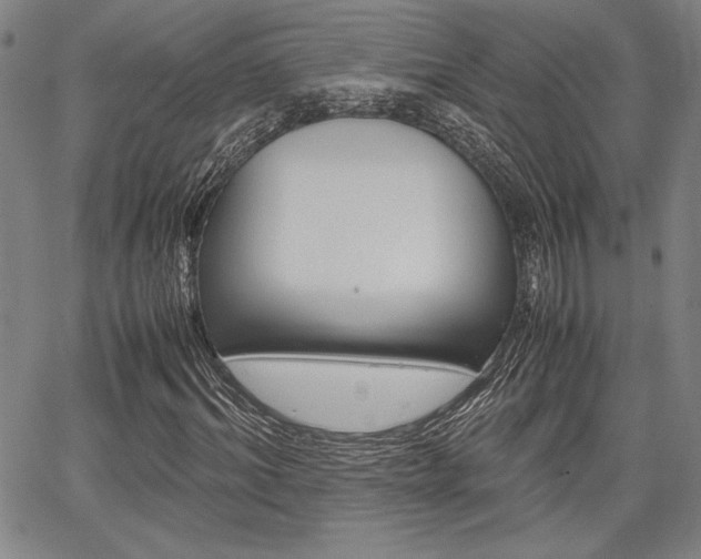 X0000067890964200604131009