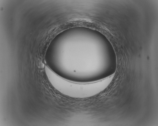 X0000067890965200604131009
