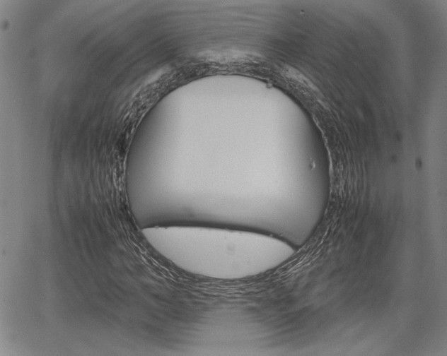 X0000067890966200604131009