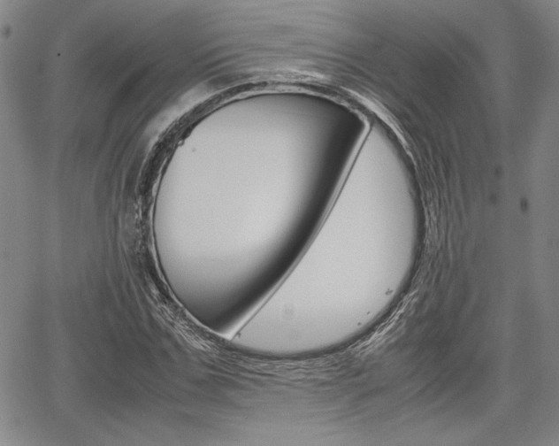 X0000067890971200604131009
