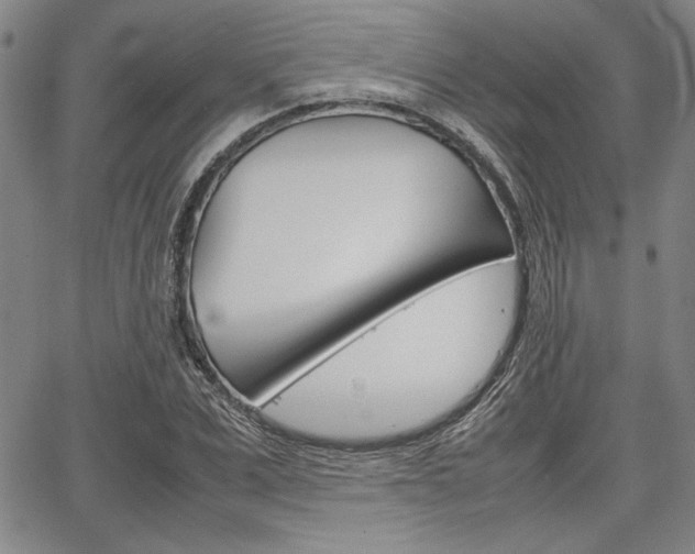 X0000067890975200604131009