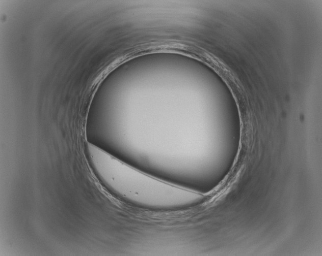 X0000067890985200604131009