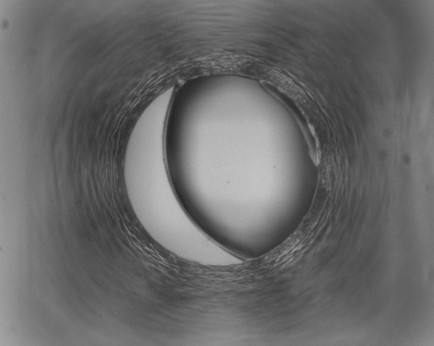 X0000067891010200604131008