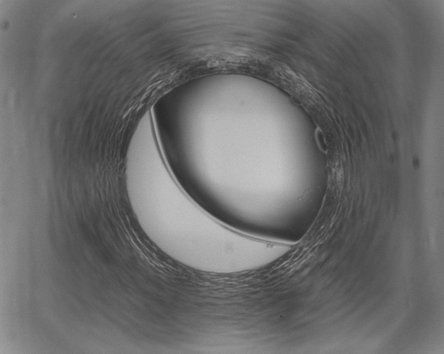 X0000067891012200604131008