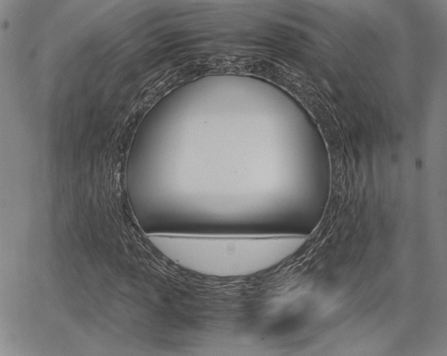 X0000067891013200604131008