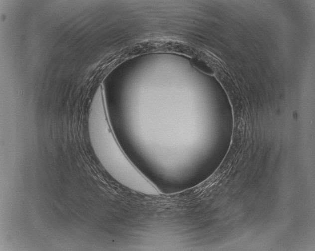 X0000067891014200604131008