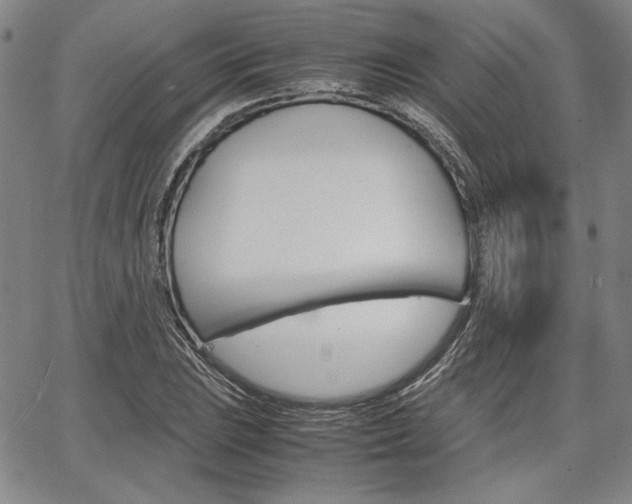 X0000067891023200604131008