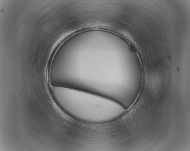X0000067891032200604131008
