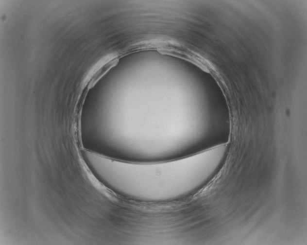 X0000067891042200604131008