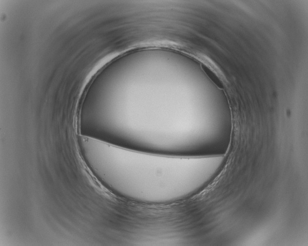 X0000067891044200604131008