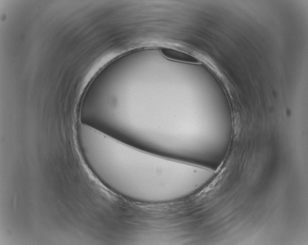 X0000067891048200604131009