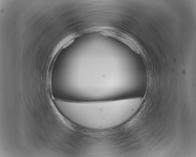 X0000067891050200604131009