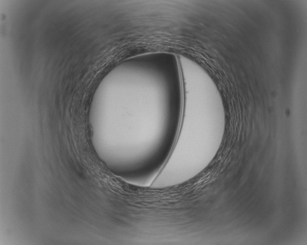 X0000067891057200604131008