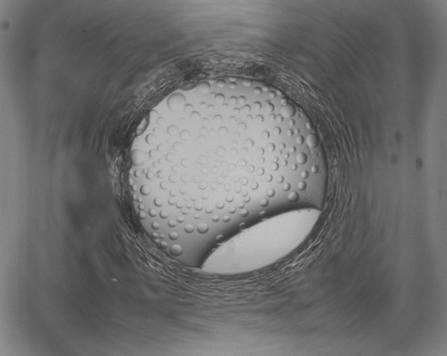 X0000067891059200604131008