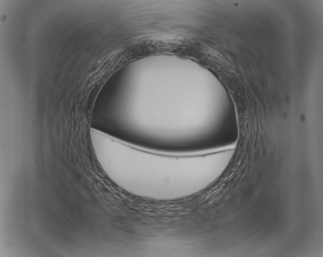 X0000067891061200604131008