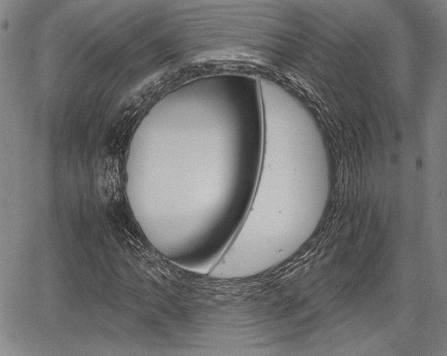 X0000067891062200604131008