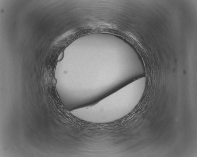 X0000067891063200604131008