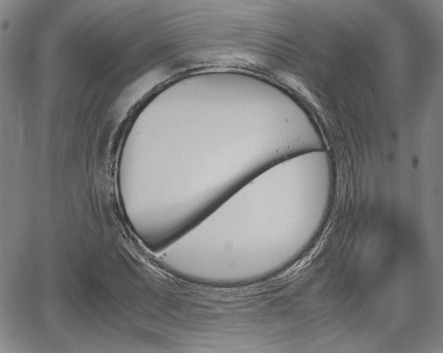 X0000067891071200604131008