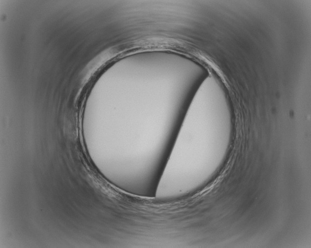 X0000067891075200604131008