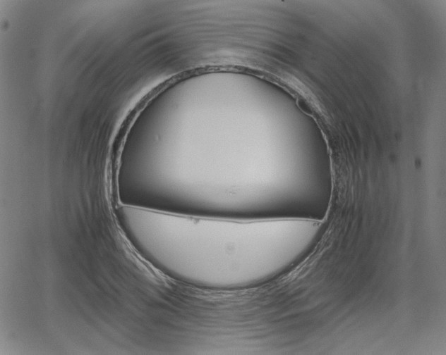 X0000067891076200604131008