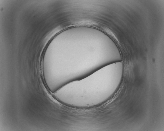 X0000067891087200604131007