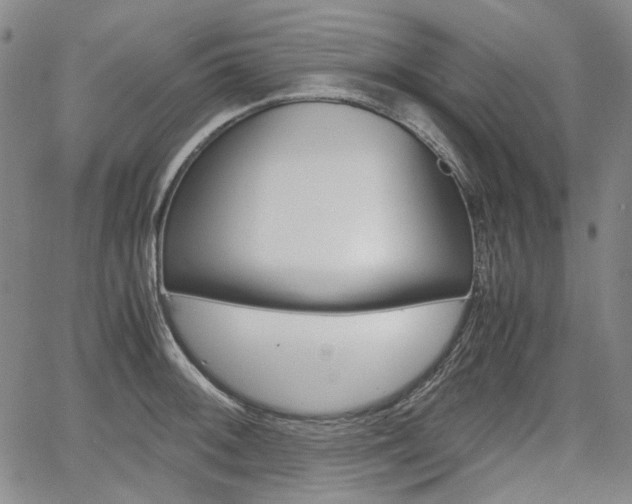 X0000067891092200604131007