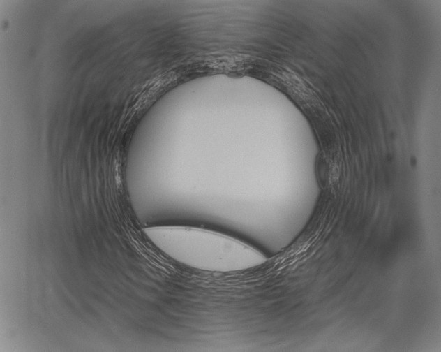 X0000067891106200604131006