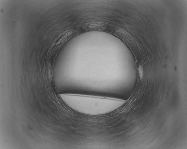 X0000067891107200604131006