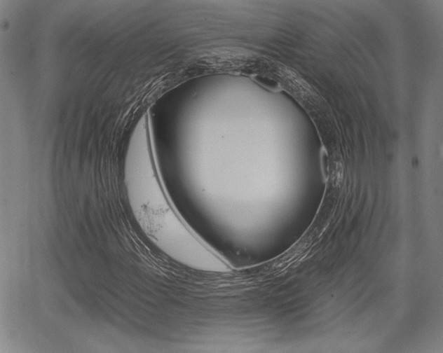 X0000067891108200604131006