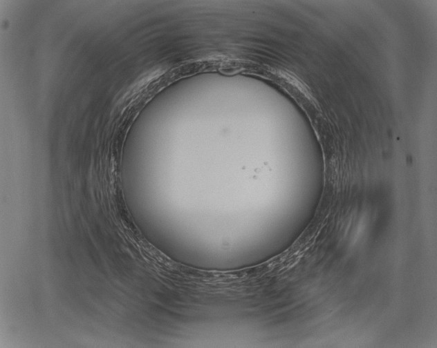 X0000067891111200604131006